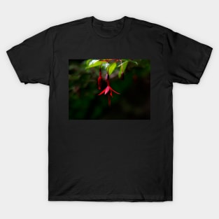 Fushia T-Shirt